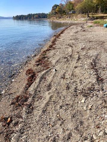 28 Searsport Terrace Searsport ME 04974