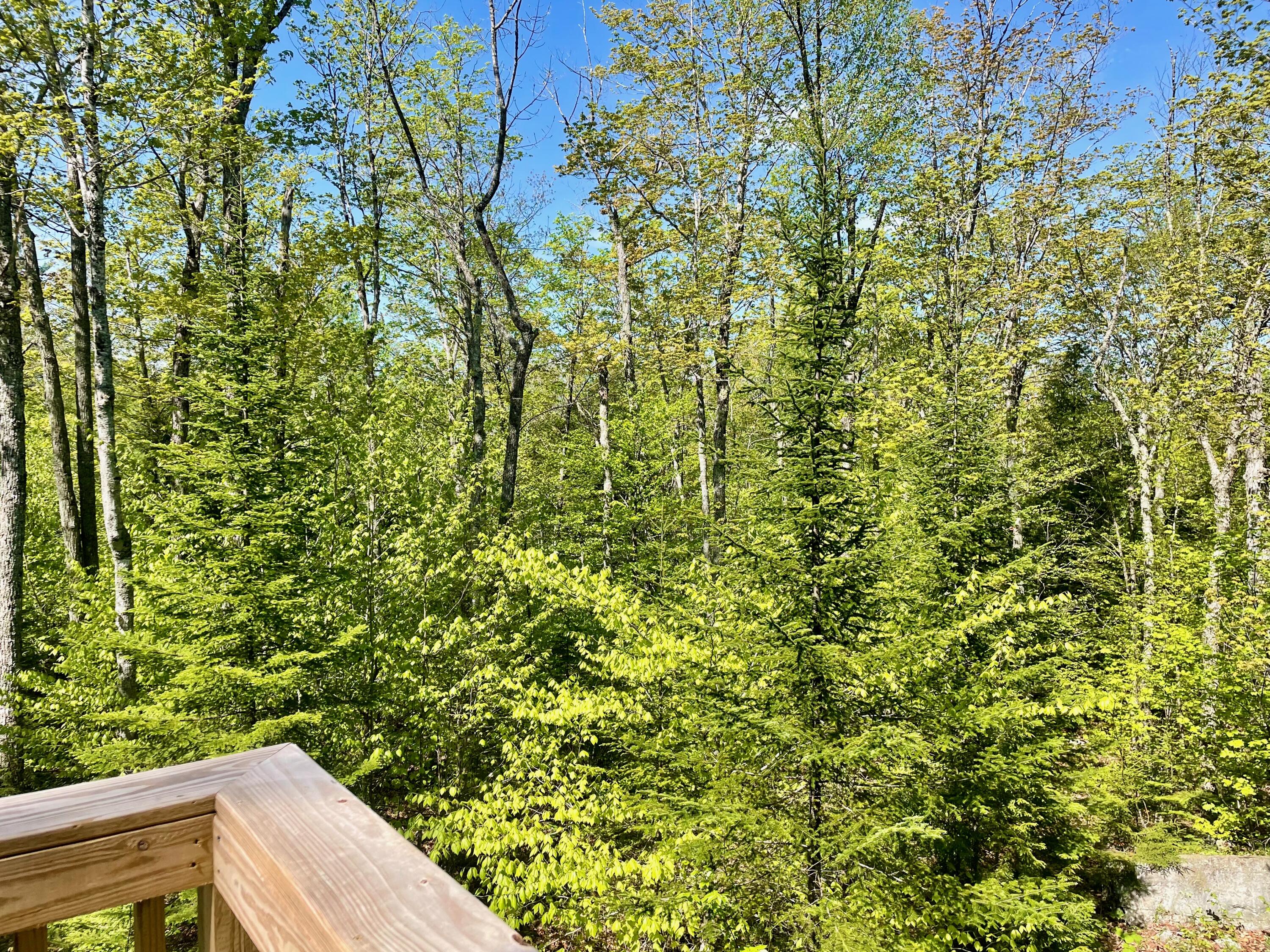 2019 Hillside Road Carrabassett Valley ME 04947
