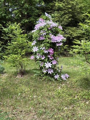 39 Tilton Pond Road Fayette ME 04349