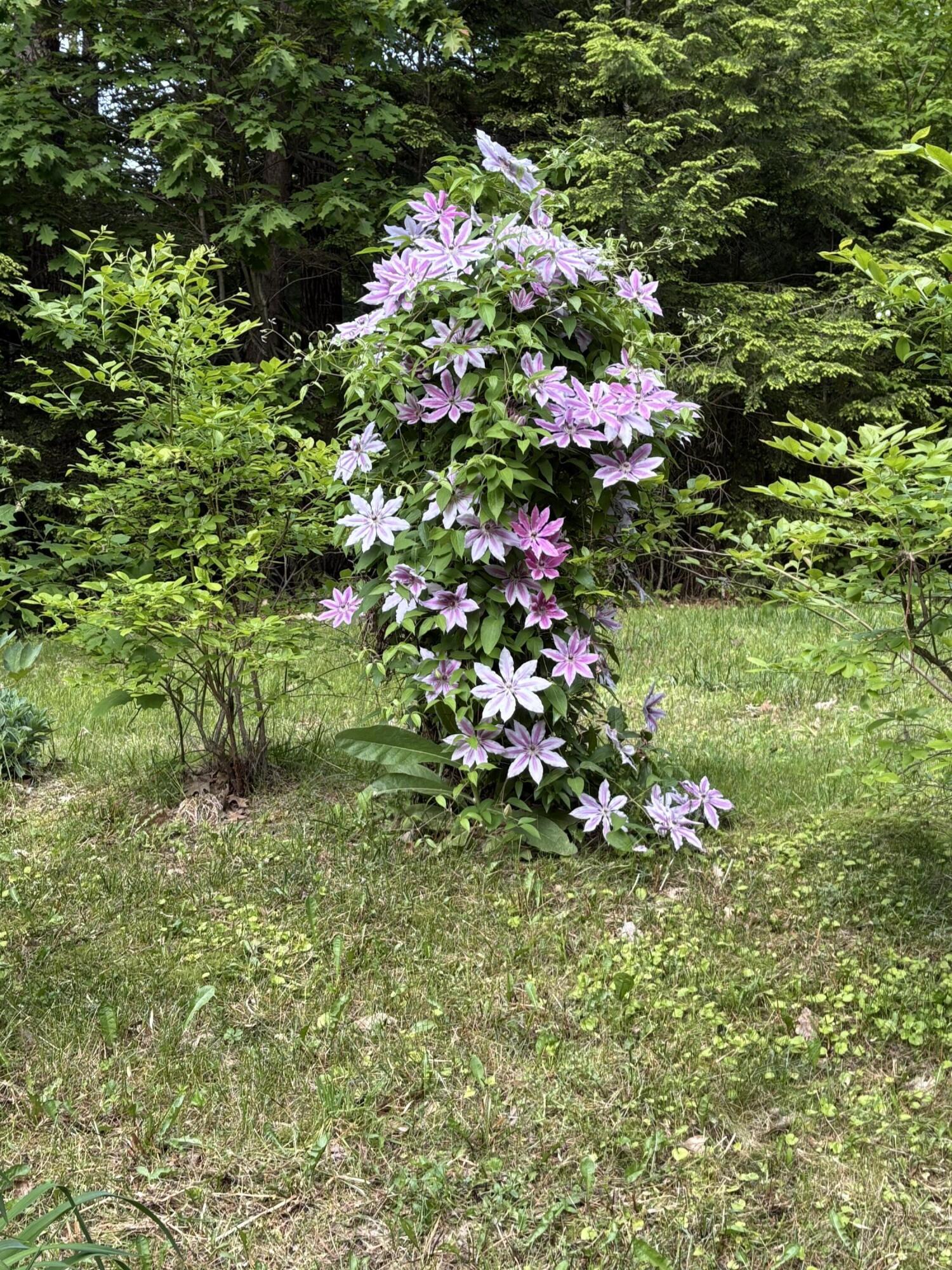 39 Tilton Pond Road Fayette ME 04349