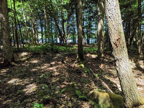 39 Tilton Pond Road Fayette ME 04349