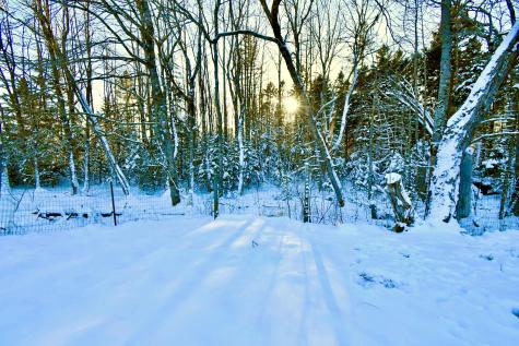 378 Back Bay Road Milbridge ME 04658