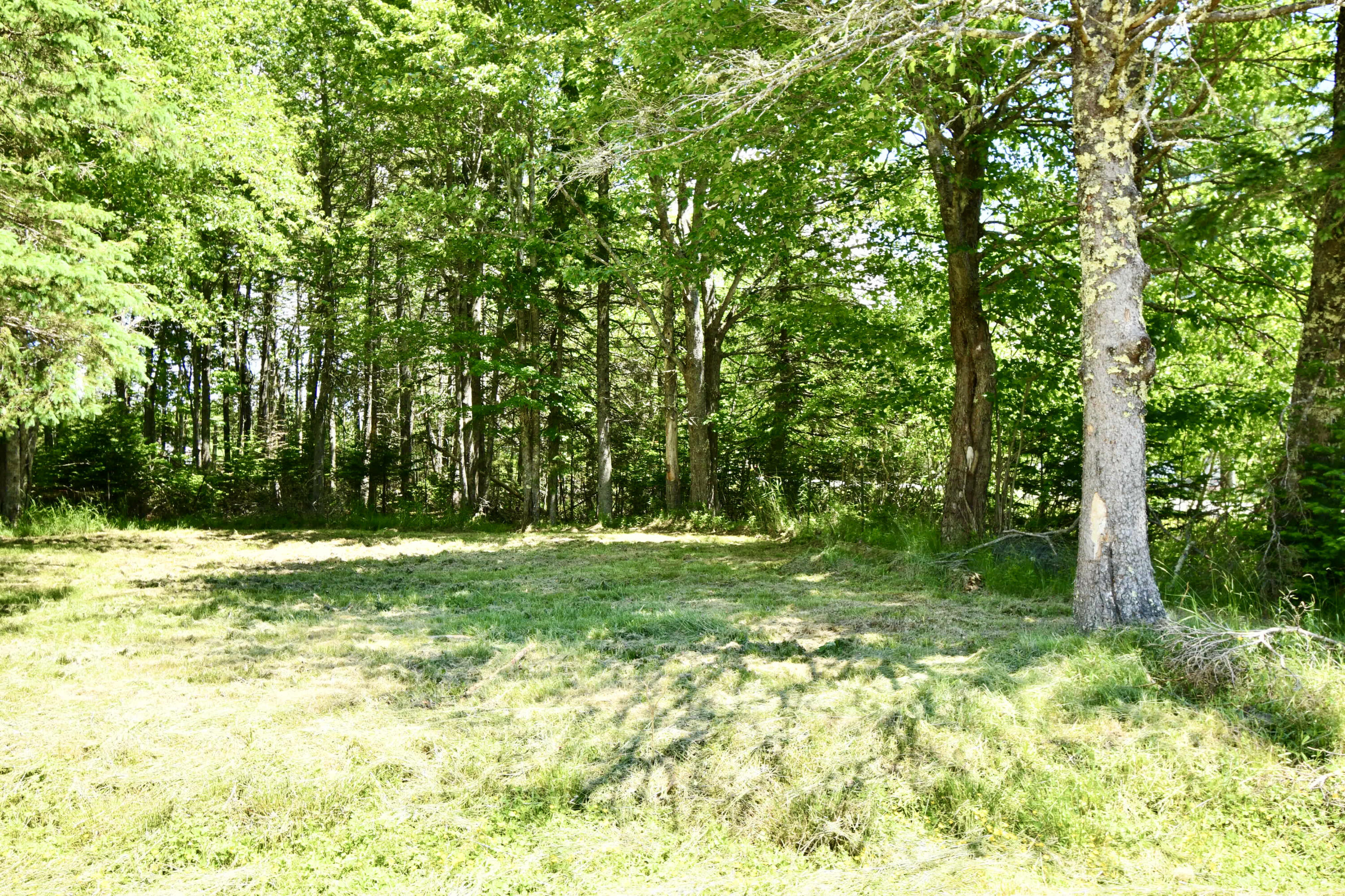 378 Back Bay Road Milbridge ME 04658