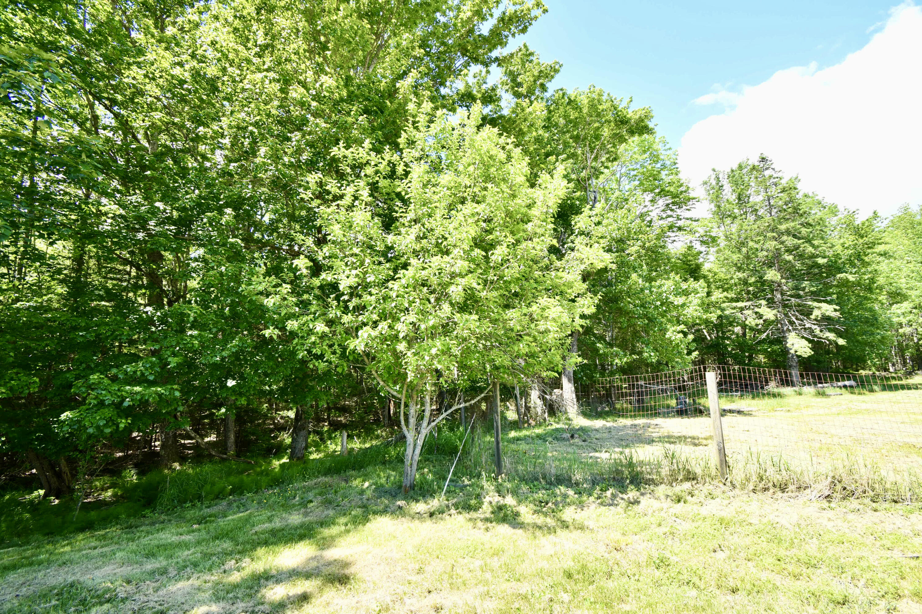 378 Back Bay Road Milbridge ME 04658