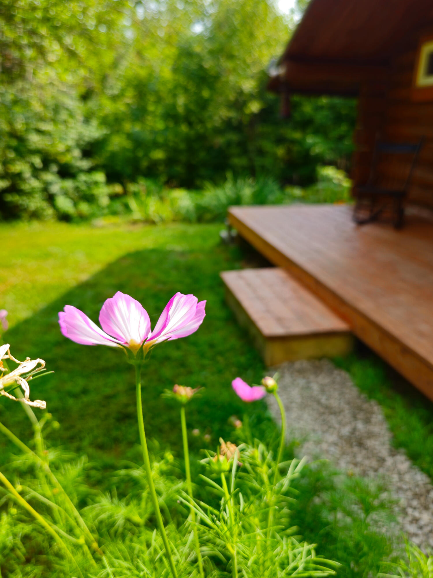 166 Lamb Road Carthage ME 04224