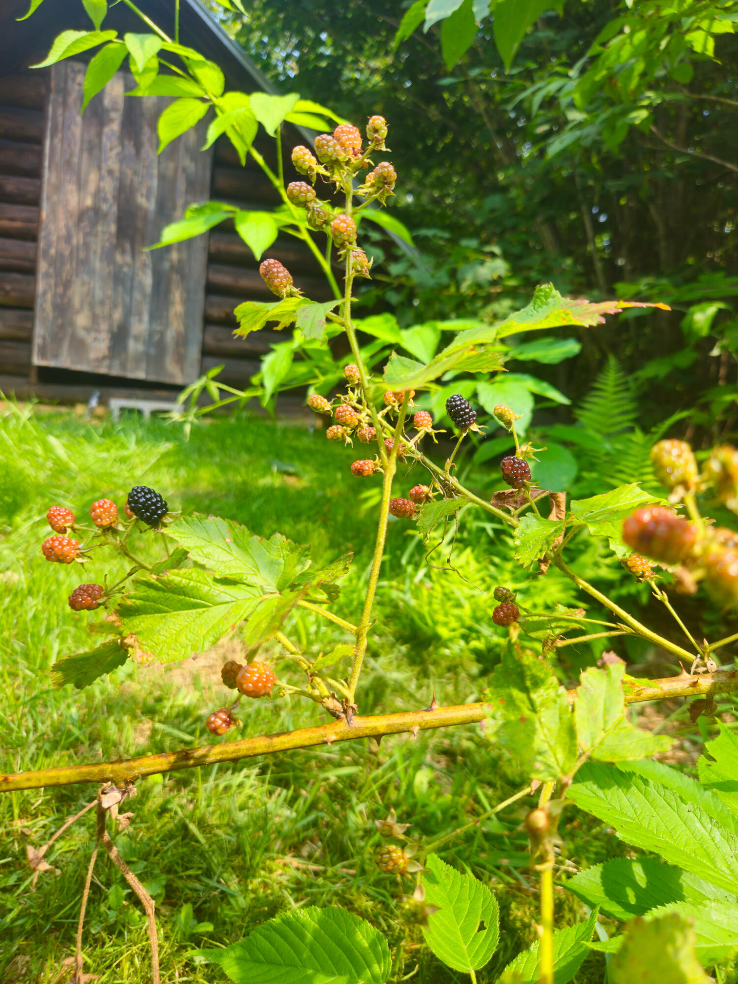 166 Lamb Road Carthage ME 04224