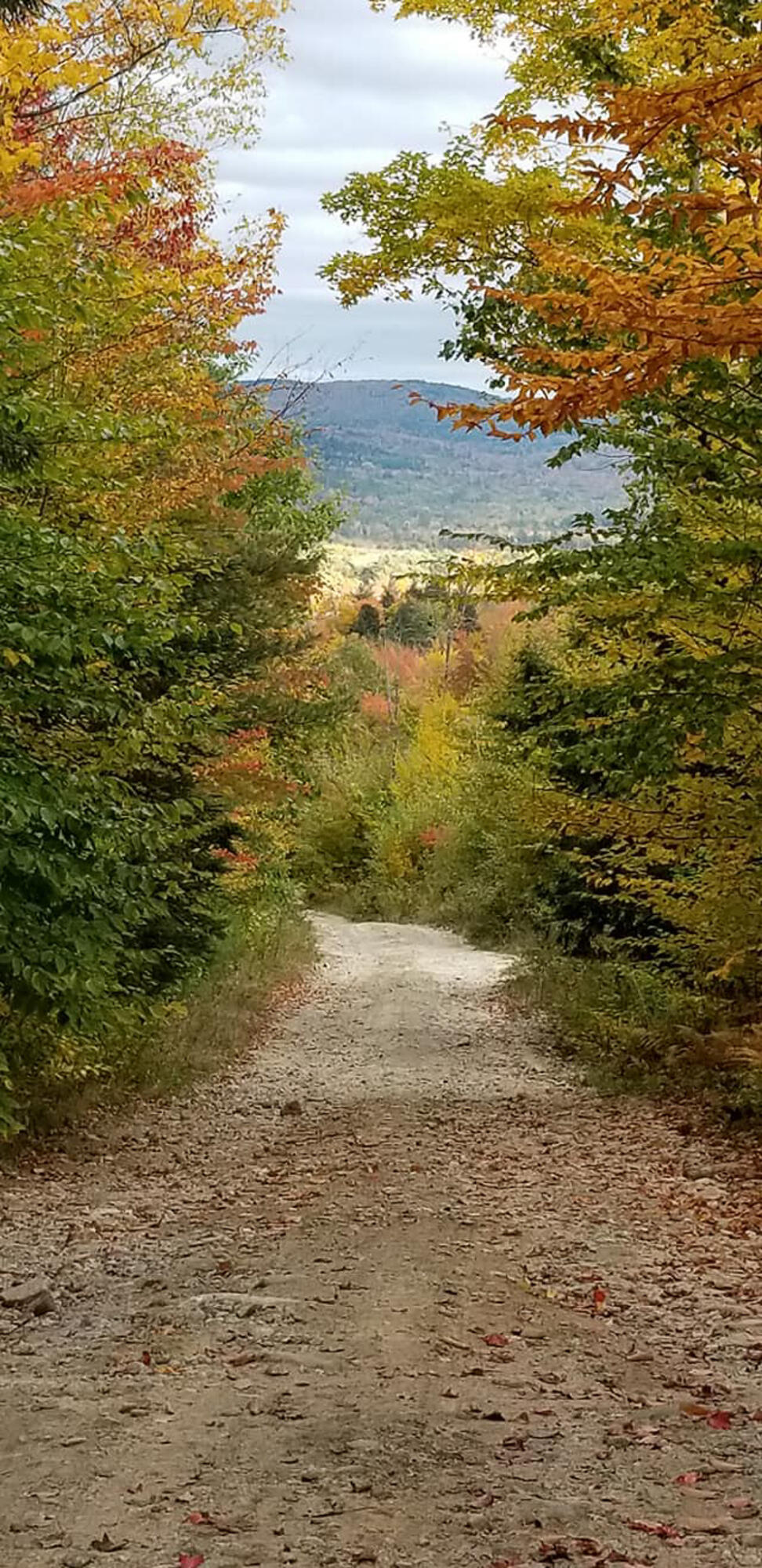 166 Lamb Road Carthage ME 04224