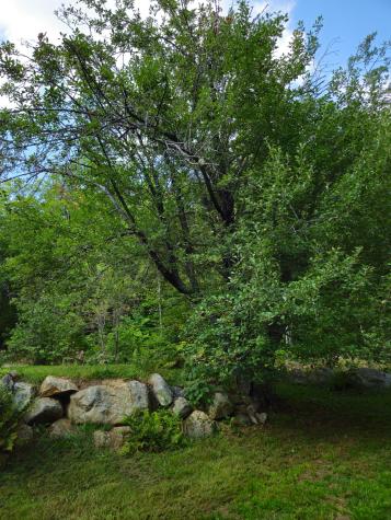 166 Lamb Road Carthage ME 04224