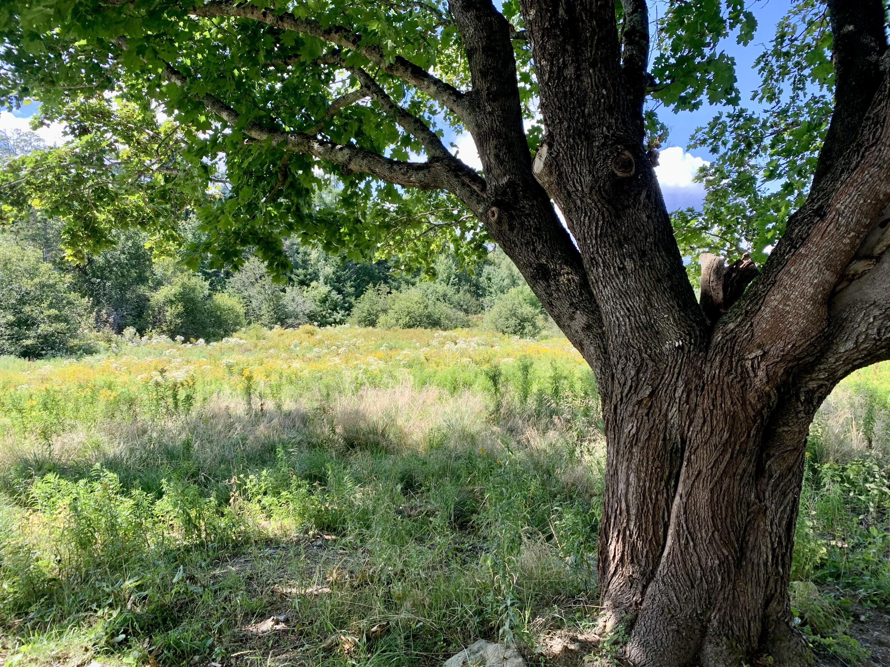 55 Us Route 1 Road Whiting ME 04691