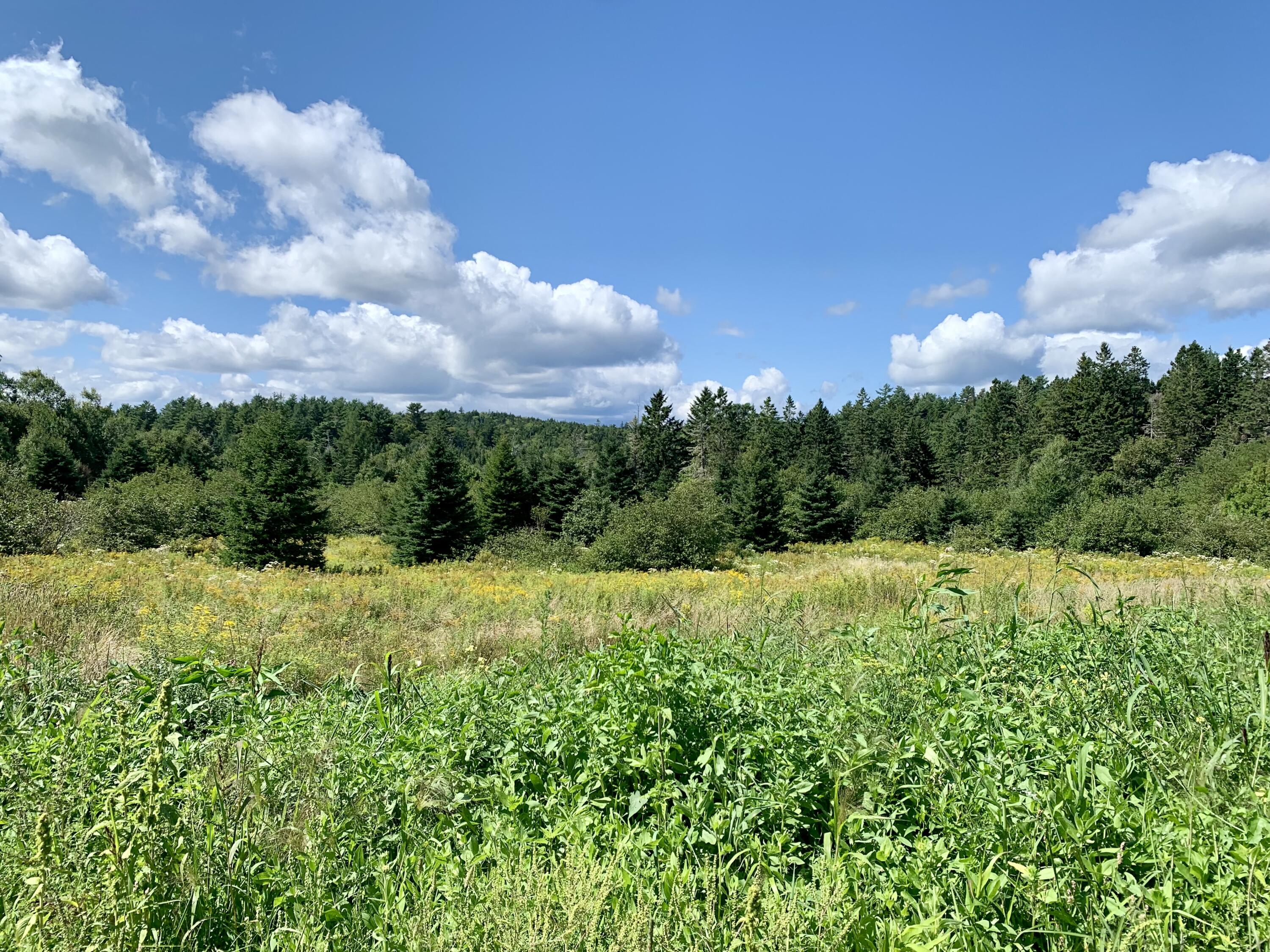 55 Us Route 1 Road Whiting ME 04691