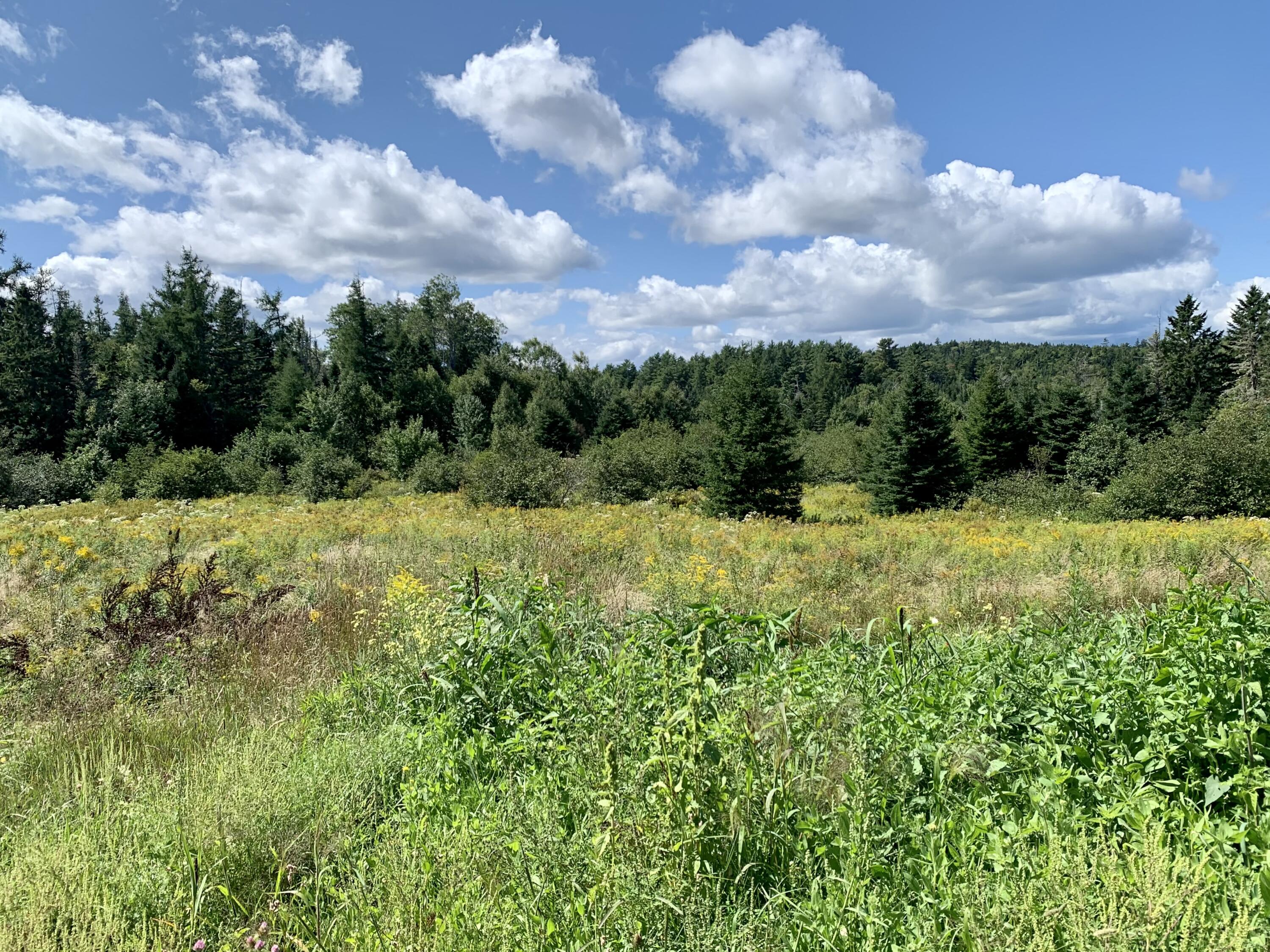 55 Us Route 1 Road Whiting ME 04691