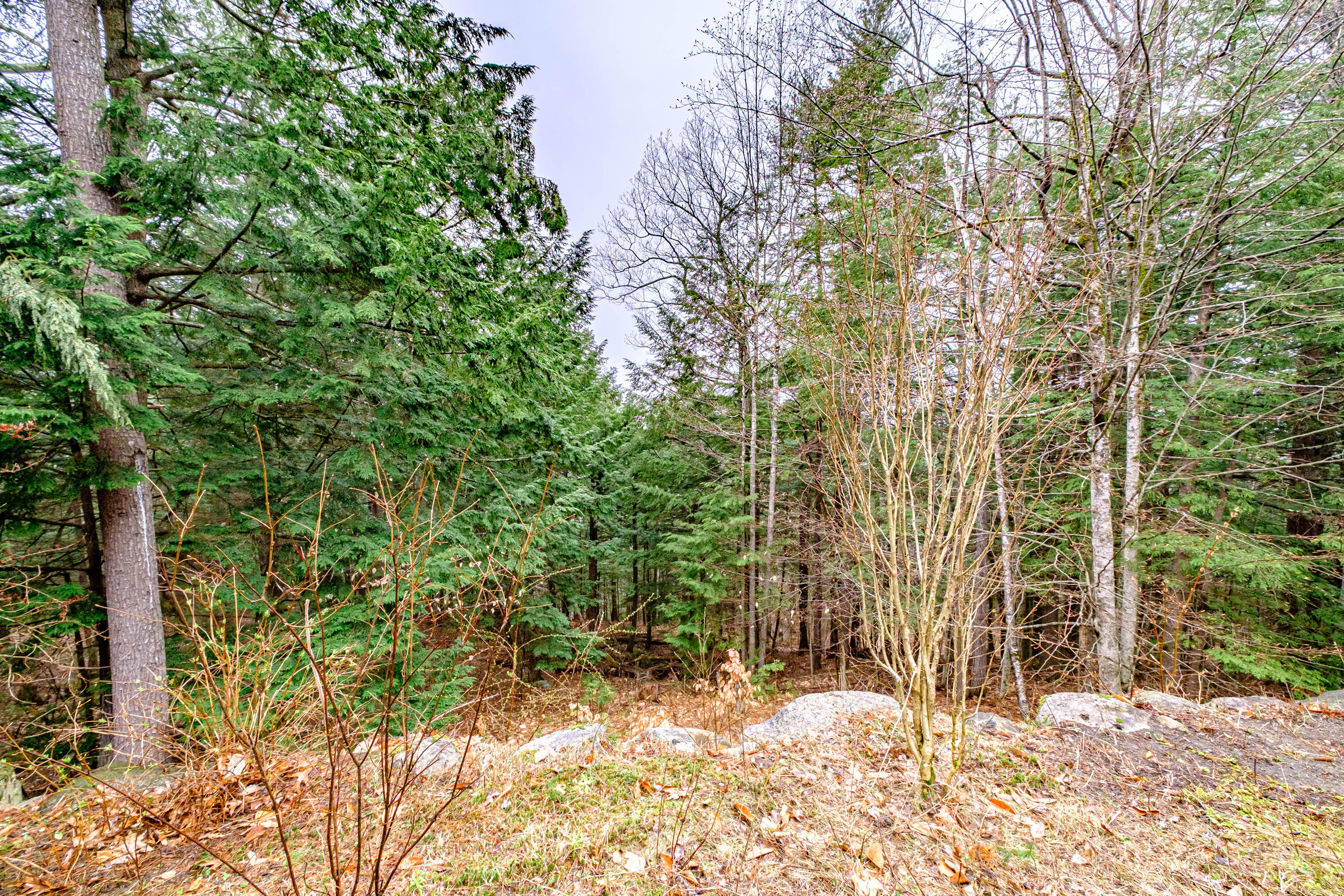 42 Winding Way Raymond ME 04071