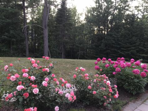 30 Merritt Drive Orono ME 04473