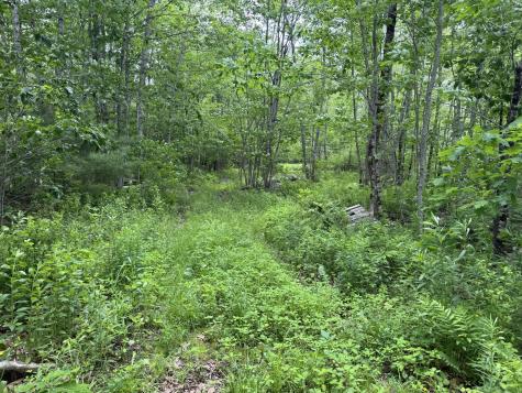 417 Mills Road Whitefield ME 04353