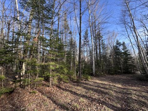 488 Cook Hill Road Freeman Twp ME 04983