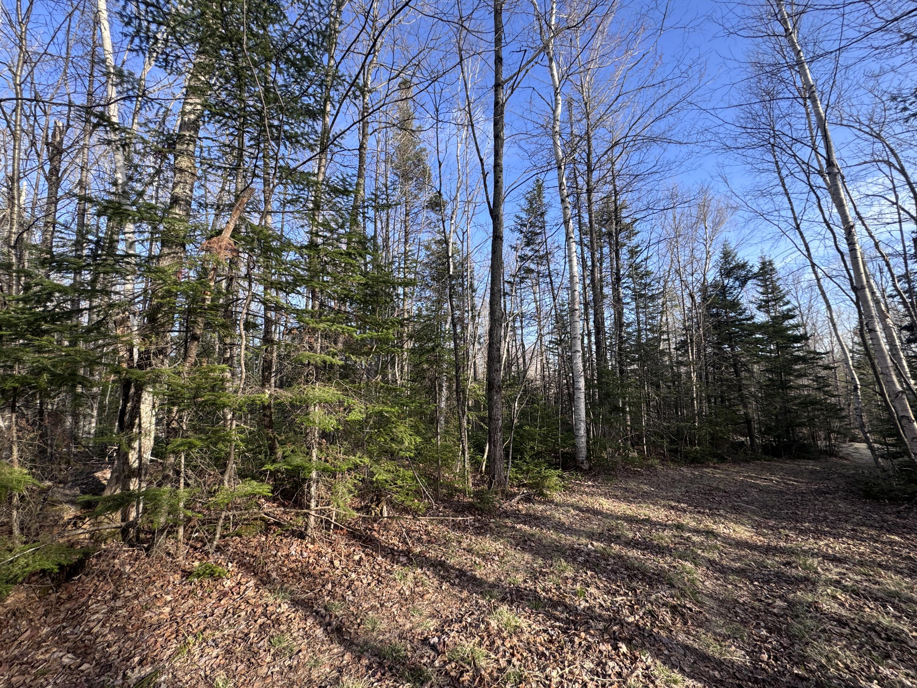 488 Cook Hill Road Freeman Twp ME 04983