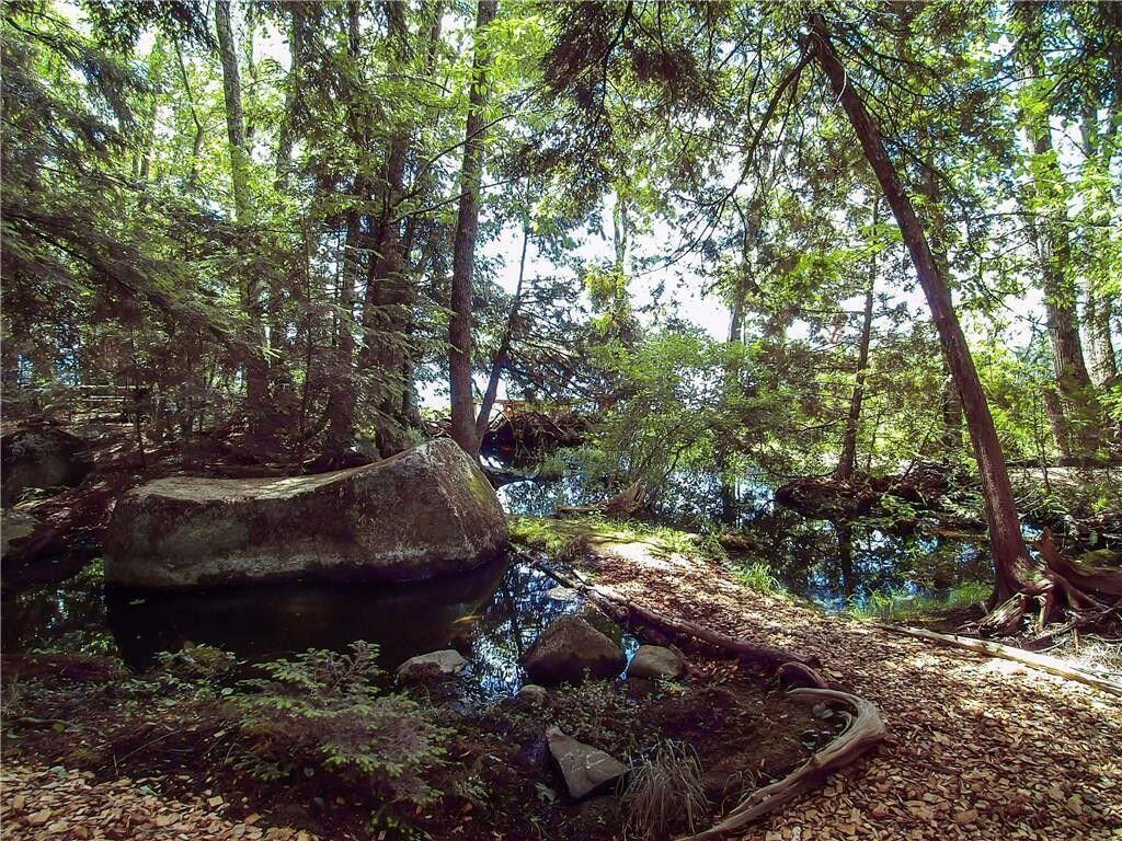 37 Loon Drive Newport ME 04953