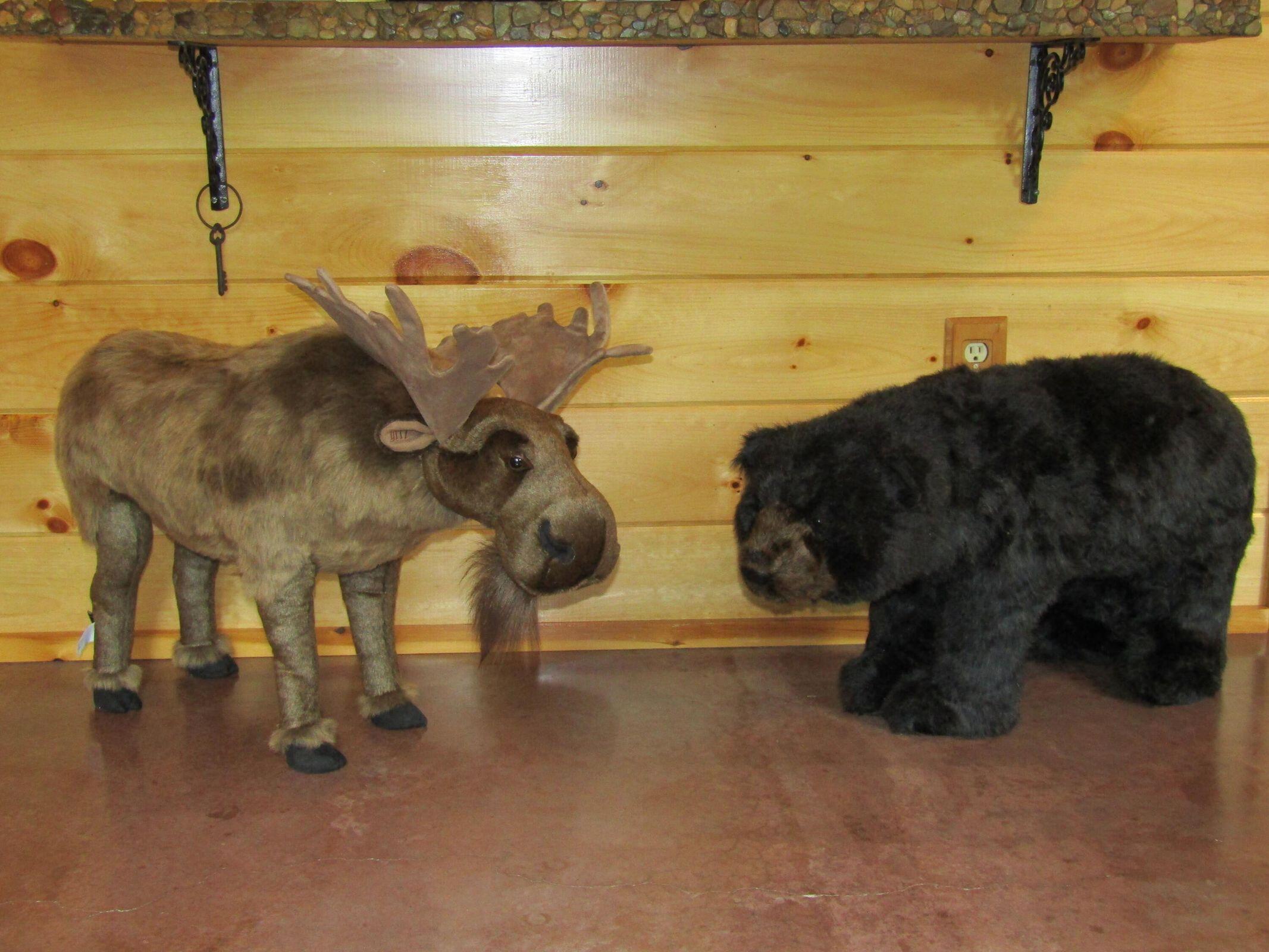 37 Loon Drive Newport ME 04953