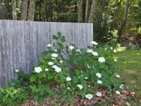 1125 Macomber Mill Road Eastbrook ME 04634