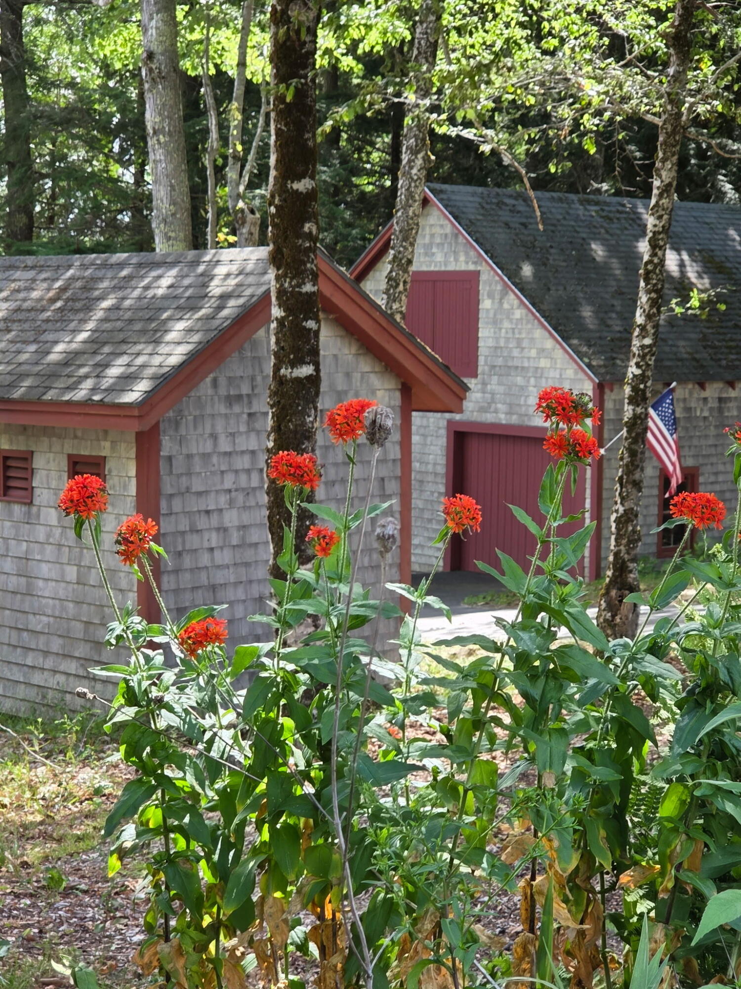 1125 Macomber Mill Road Eastbrook ME 04634