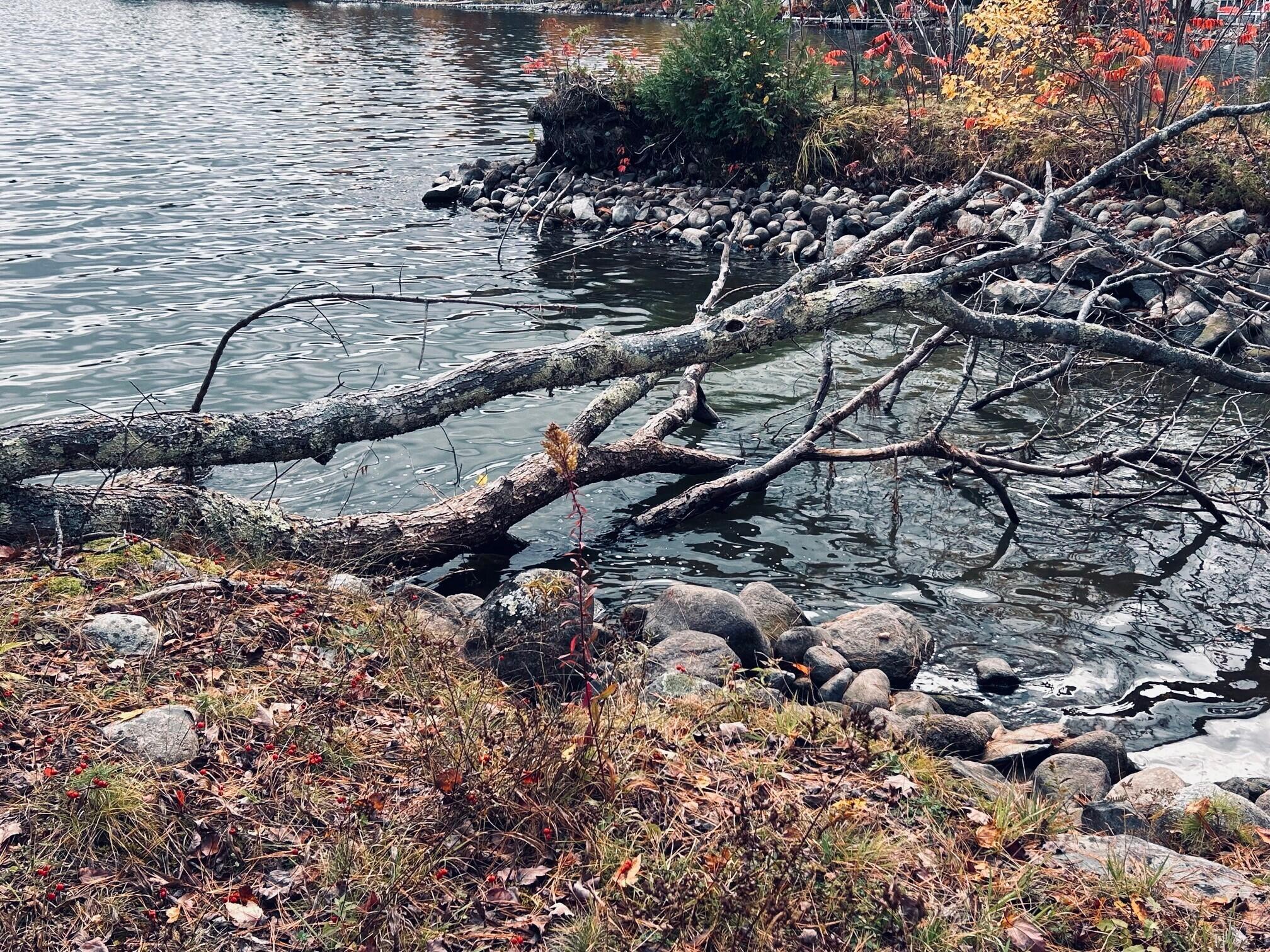 122 Bickford Place Belgrade ME 04917