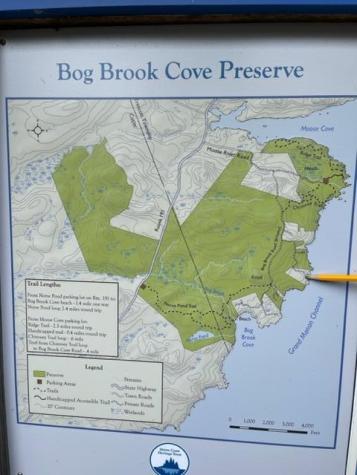 Lot 87.72 Shag Rock Road Trescott Twp ME 04652