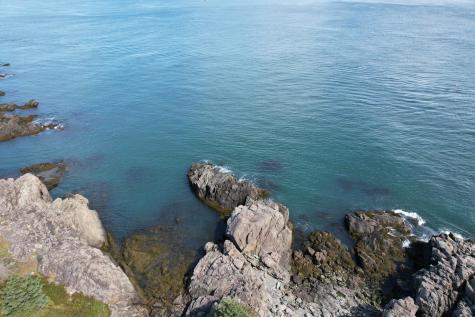 Lot 87.72 Shag Rock Road Trescott Twp ME 04652