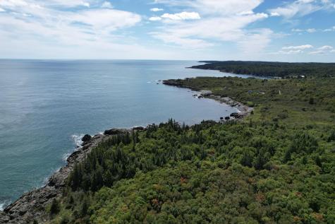 Lot 87.72 Shag Rock Road Trescott Twp ME 04652
