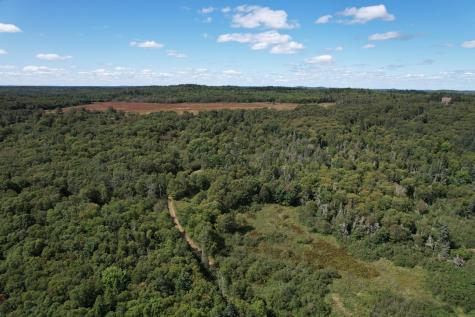 Lot 87.72 Shag Rock Road Trescott Twp ME 04652