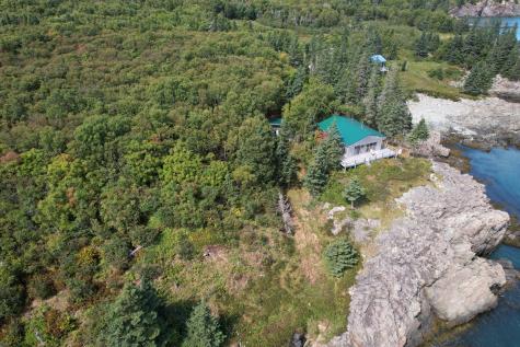 Lot 87.72 Shag Rock Road Trescott Twp ME 04652