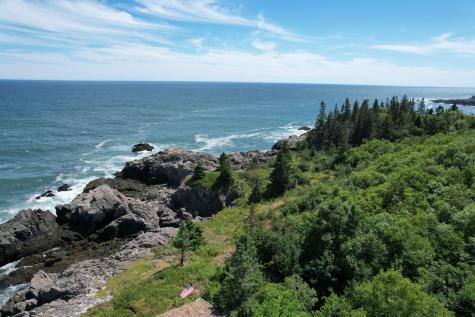 Lot 87.72 Shag Rock Road Trescott Twp ME 04652