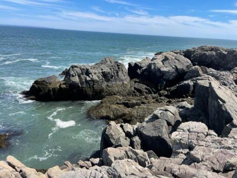 Lot 87.72 Shag Rock Road Trescott Twp ME 04652