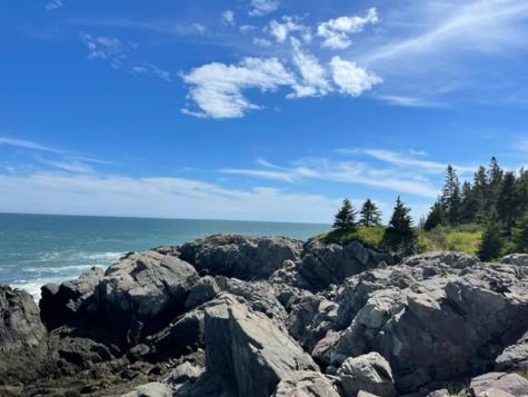 Lot 87.72 Shag Rock Road Trescott Twp ME 04652