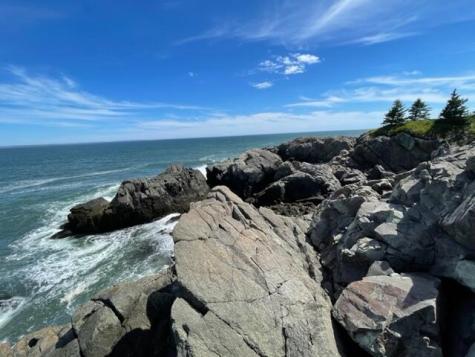 Lot 87.72 Shag Rock Road Trescott Twp ME 04652