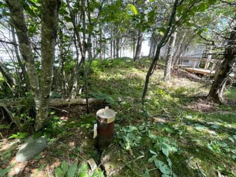 Lot 87.72 Shag Rock Road Trescott Twp ME 04652