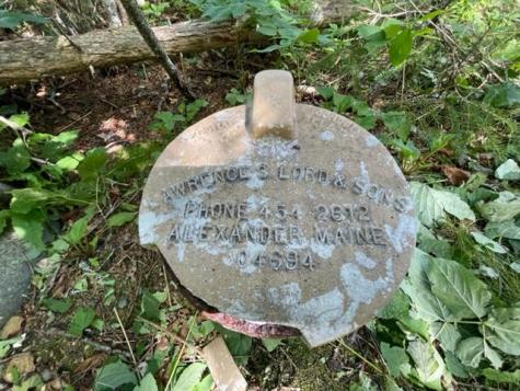 Lot 87.72 Shag Rock Road Trescott Twp ME 04652