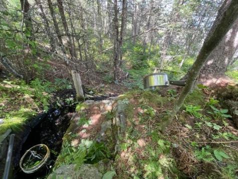 Lot 87.72 Shag Rock Road Trescott Twp ME 04652