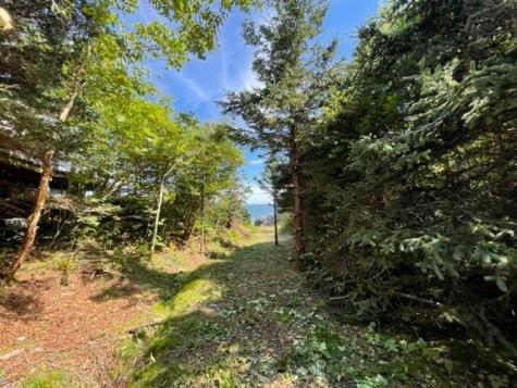 Lot 87.72 Shag Rock Road Trescott Twp ME 04652