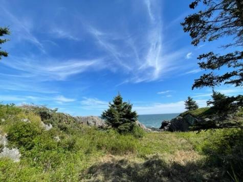 Lot 87.72 Shag Rock Road Trescott Twp ME 04652