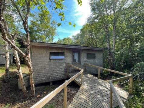 Lot 87.72 Shag Rock Road Trescott Twp ME 04652