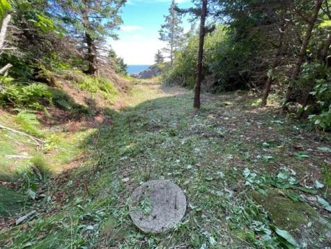 Lot 87.72 Shag Rock Road Trescott Twp ME 04652
