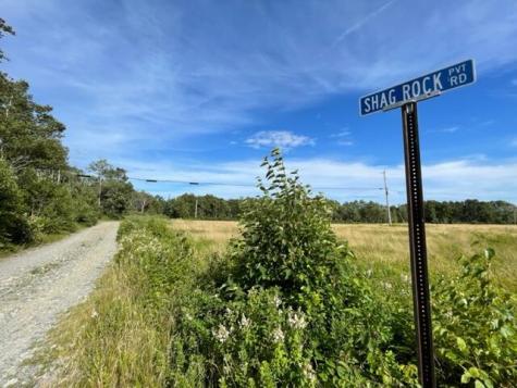 Lot 87.72 Shag Rock Road Trescott Twp ME 04652
