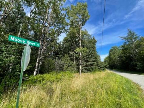 Lot 87.72 Shag Rock Road Trescott Twp ME 04652