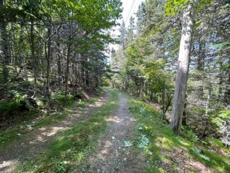 Lot 87.72 Shag Rock Road Trescott Twp ME 04652