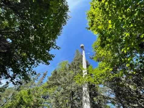 Lot 87.72 Shag Rock Road Trescott Twp ME 04652