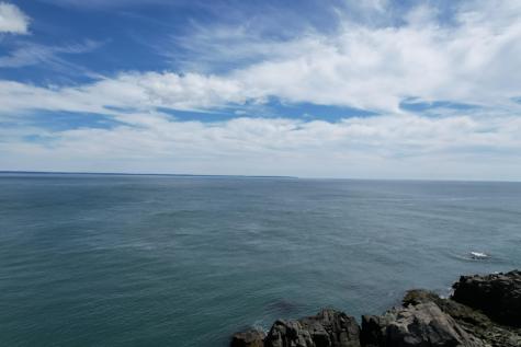 Lot 87.72 Shag Rock Road Trescott Twp ME 04652