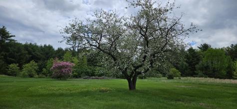 1696 Federal Road Livermore ME 04253