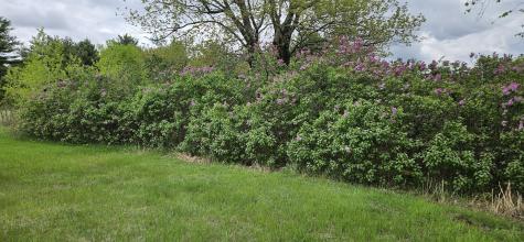 1696 Federal Road Livermore ME 04253