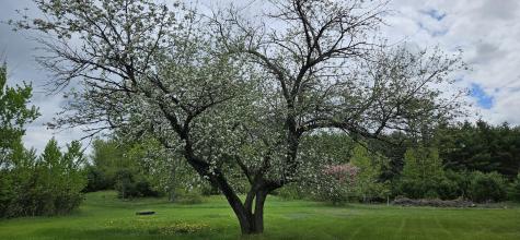 1696 Federal Road Livermore ME 04253