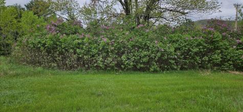 1696 Federal Road Livermore ME 04253